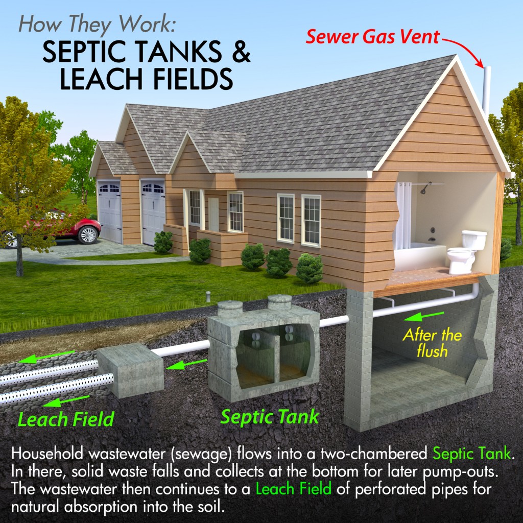 What You Should Know Before Calling An Orlando Septic Service?